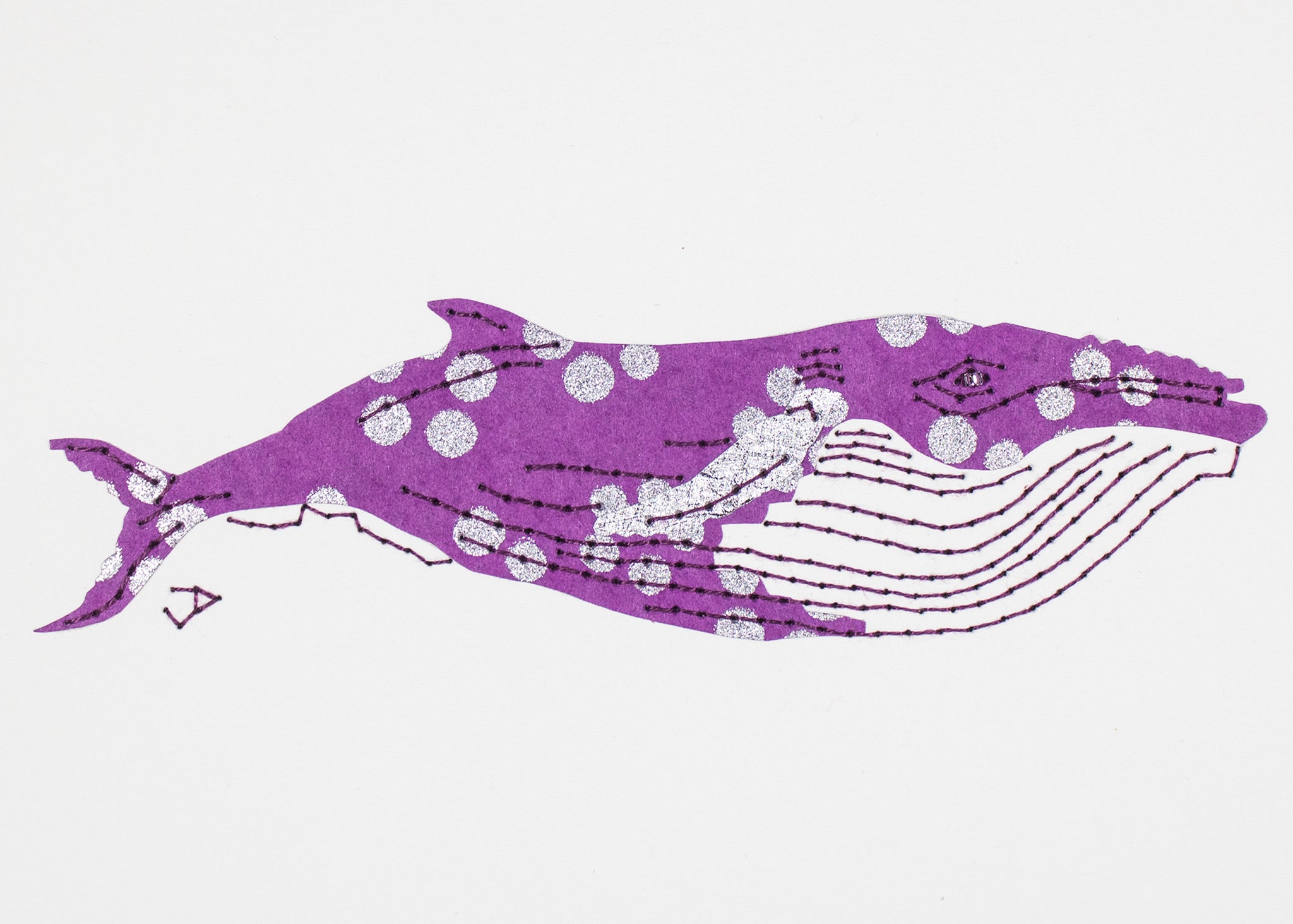 Humpback Whale in Silver Spots on Purple